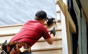 Best Vinyl Siding Installation  in Laguna Beach, FL